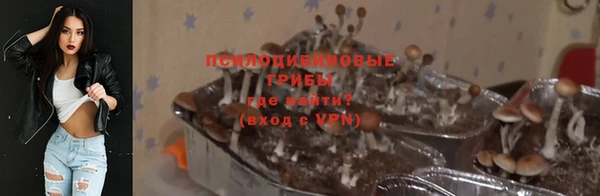 стафф Беломорск