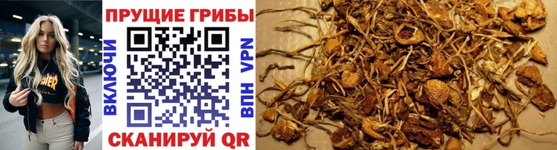 Псилоцибиновые грибы мухоморы  Малая Вишера 