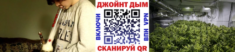 что такое наркотик  Малая Вишера  Канабис тримм 
